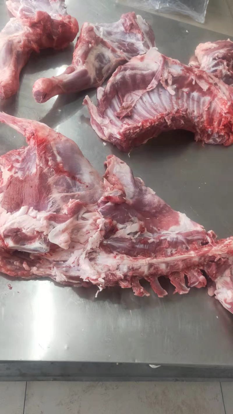 新鲜羊肉羊酮体一手货源基地直发可视频看货量大从优