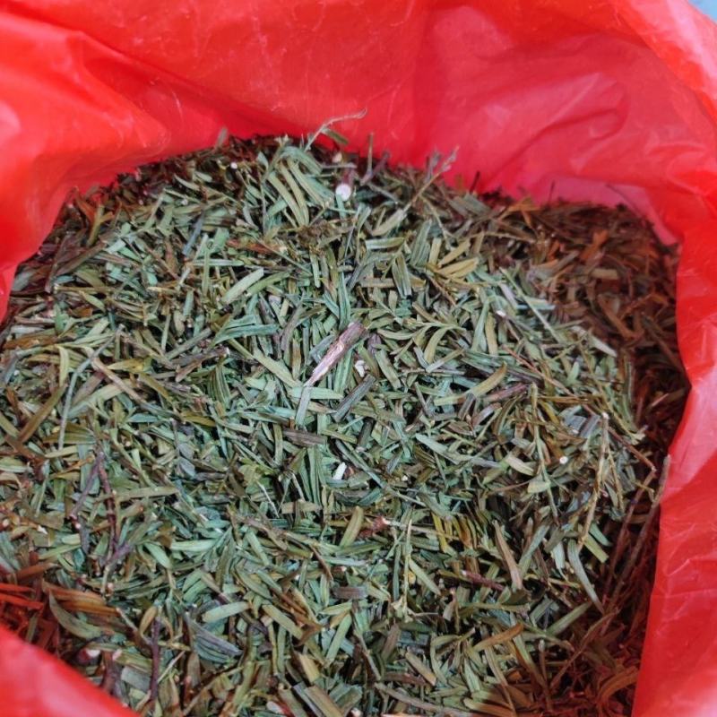 紫杉，一手货源新货药味足，道地药材产地直供，品质保证
