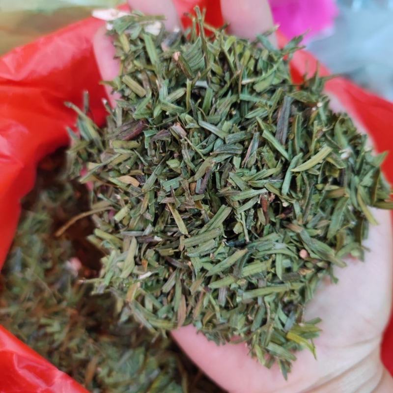 紫杉，一手货源新货药味足，道地药材产地直供，品质保证