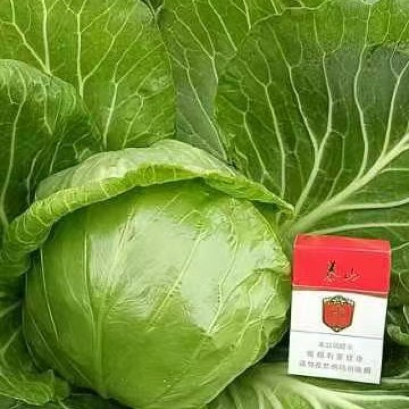 甘兰
