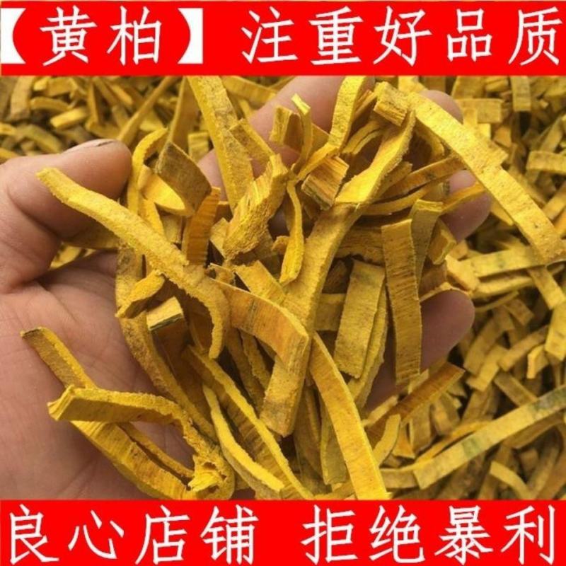 黄柏中药材川黄柏黄柏檗木檗皮黄檗黄白原色去皮新鲜干