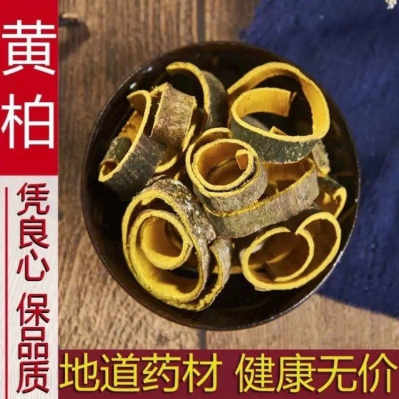 黄柏中药材川黄柏黄柏檗木檗皮黄檗黄白原色去皮新鲜干