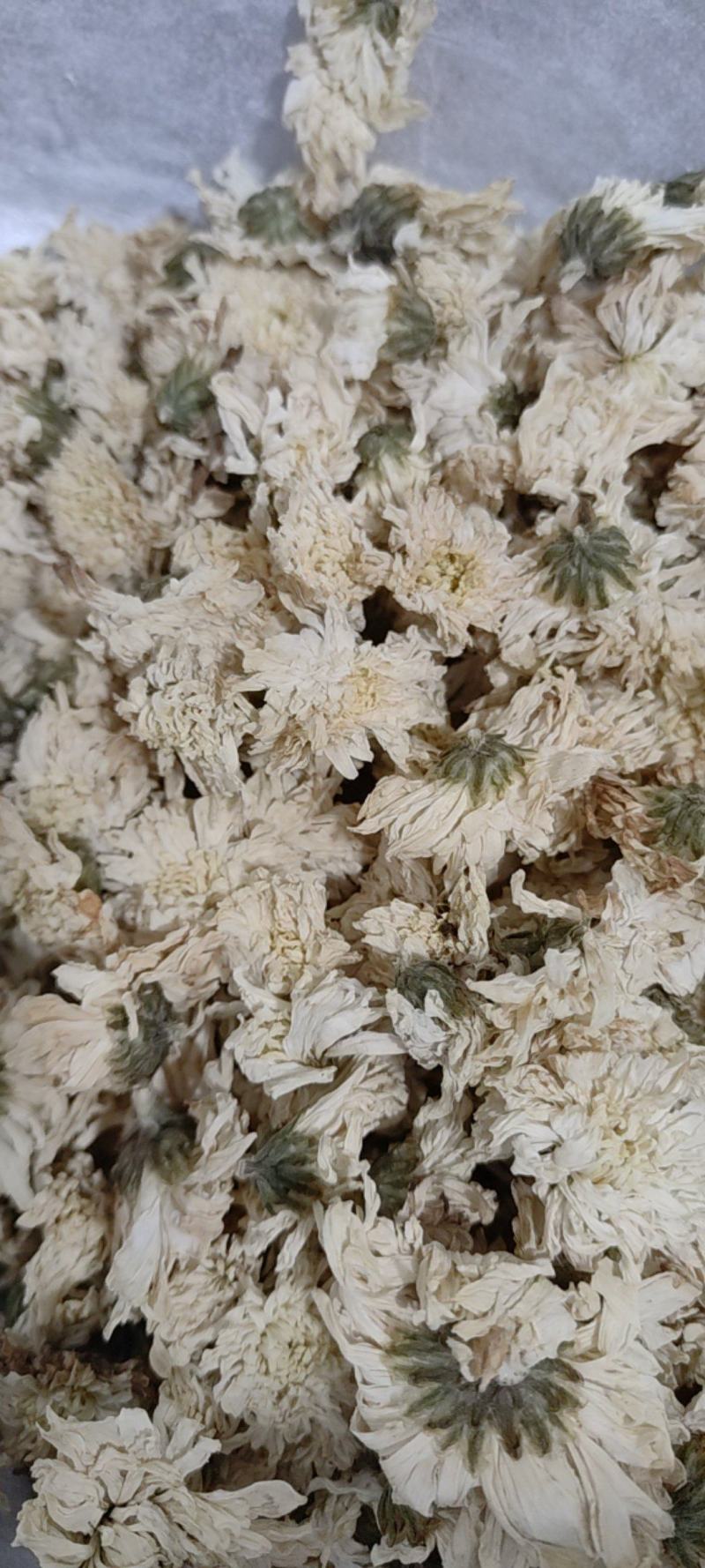 决明子决明子茶500g1000g决明子正品决明子露生物