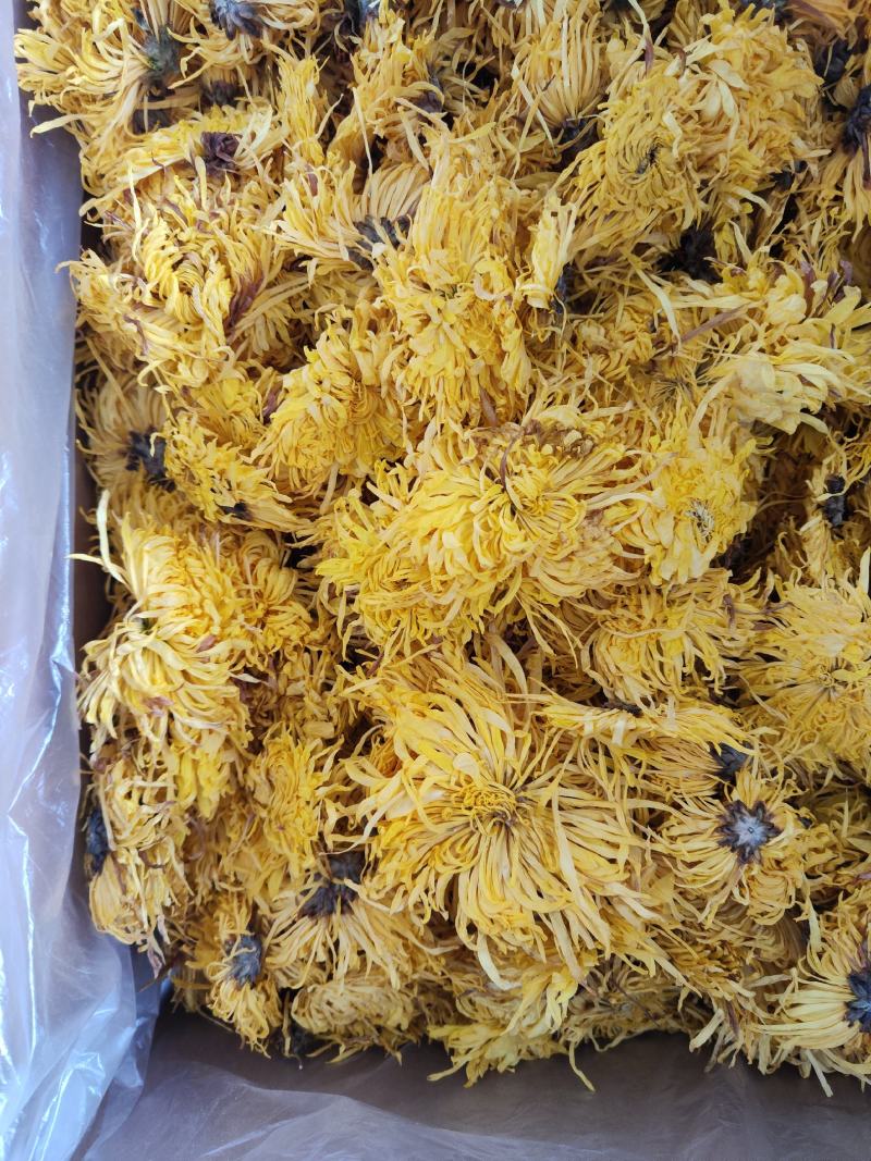 决明子决明子茶500g1000g决明子正品决明子露生物