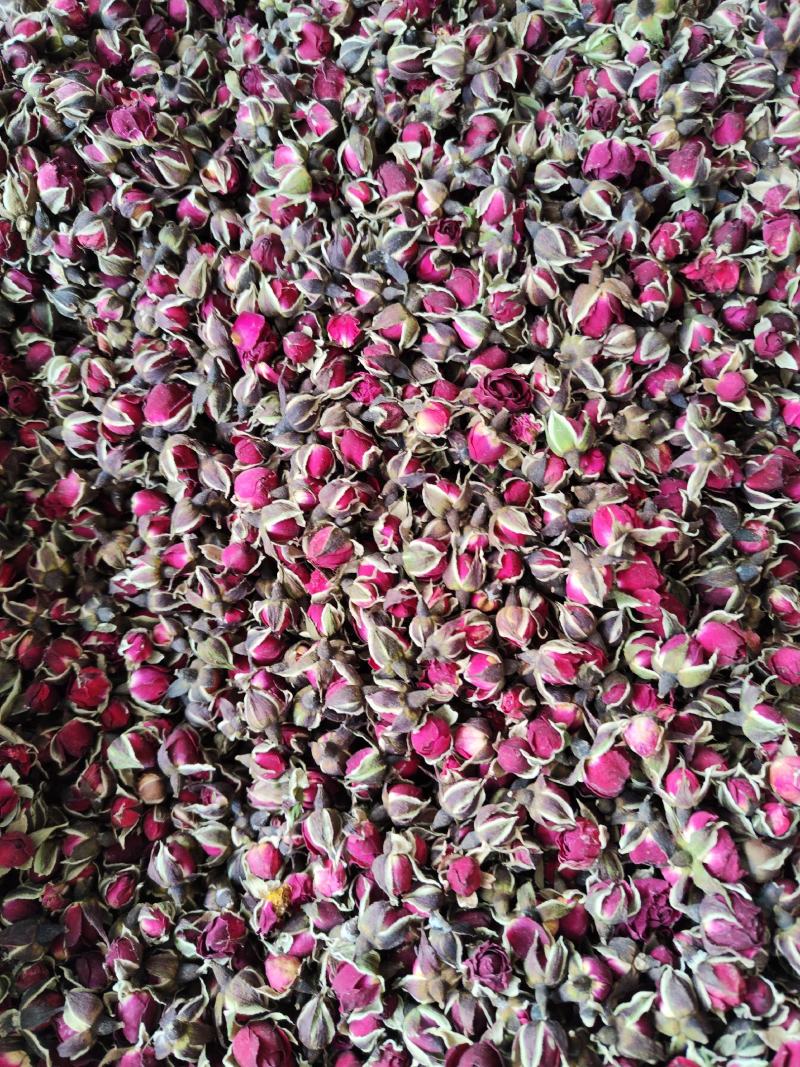 决明子决明子茶500g1000g决明子正品决明子露生物