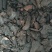当归四物汤(川芎熟地白芍)子露生物科技包邮