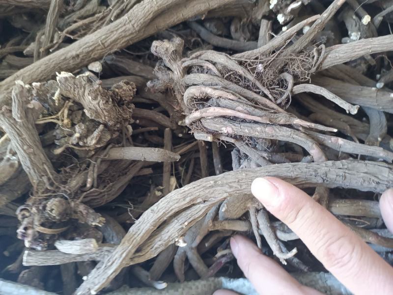 野生赤芍。正品好货。全干。无硫，一手货源，欢迎选购