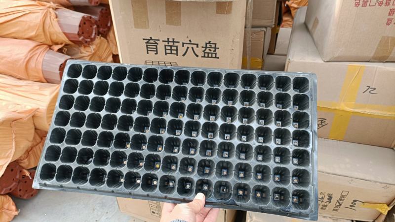 各种园林资材，育苗穴盘，营养钵，双色盆等大量批发