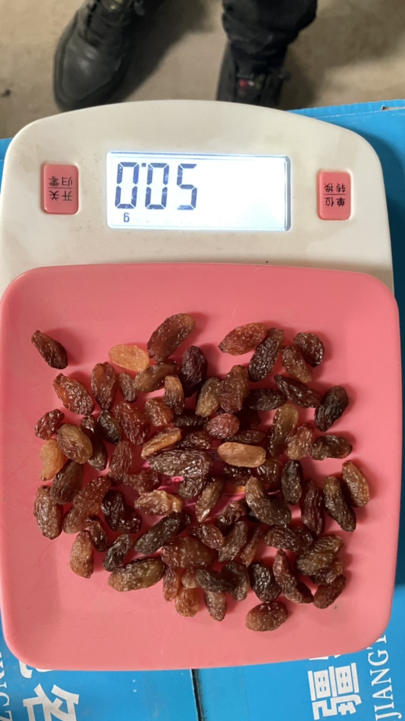 提子干免洗商超食品厂专用年后处理价格
