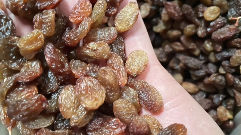 提子干免洗商超食品厂专用年后处理价格