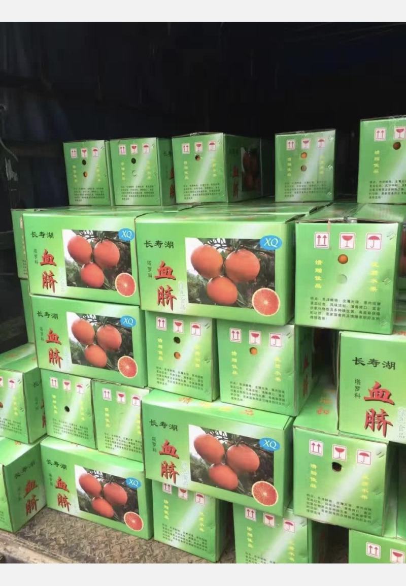 正宗长寿塔罗科血脐橙60mm~80mm