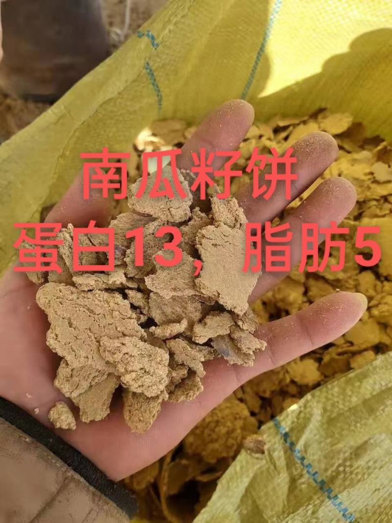 南瓜籽饼