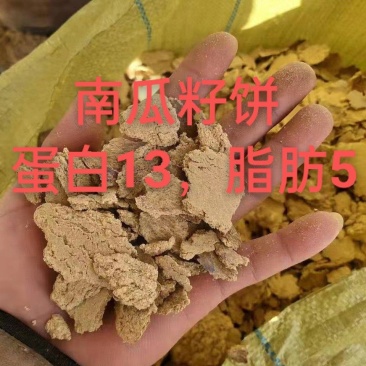 南瓜籽饼
