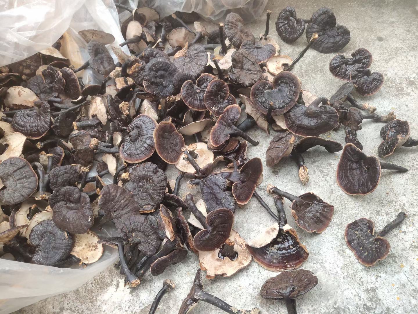 图片说明:柱状图展示黑芝麻与牛奶、豆腐、海带等食材的钙含量对比 黑芝麻与其他食材对比图表