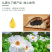 【包邮_500ml牡丹籽油】植物油中贵族一级纯牡丹油