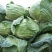 新鲜甘蓝菜包菜圆白菜绿甘蓝现砍现卖