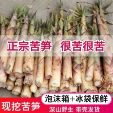 江西新鲜苦笋现挖现发5斤/件