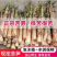 江西新鲜苦笋现挖现发5斤/件