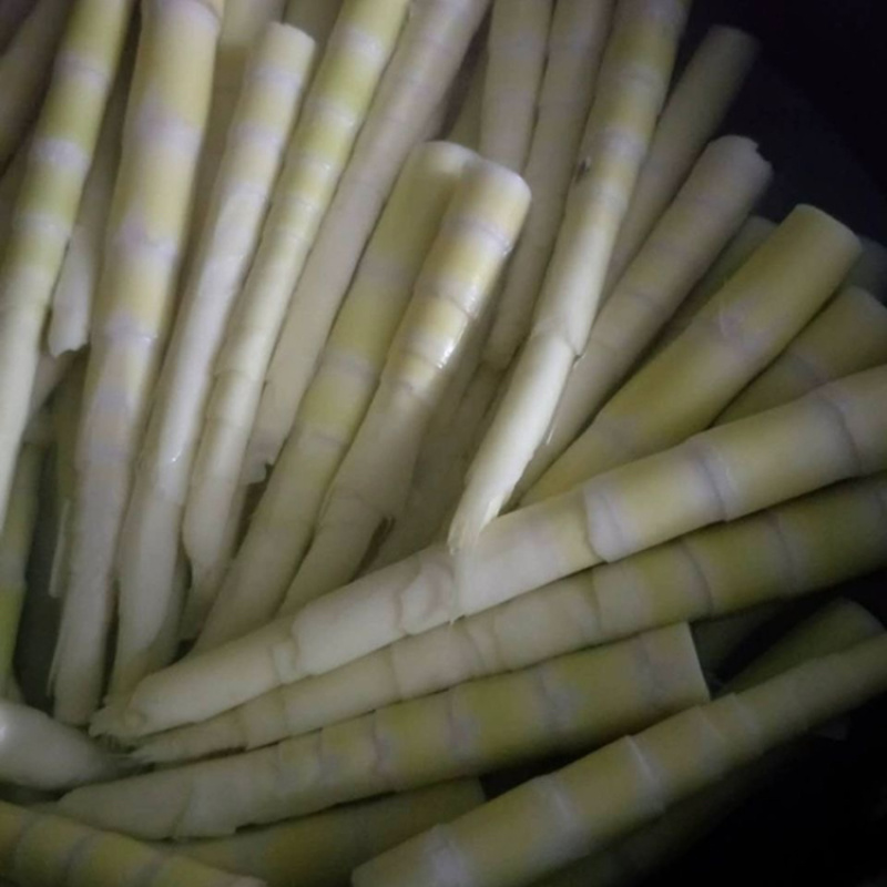 江西新鲜苦笋现挖现发5斤/件