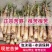 江西新鲜苦笋现挖现发5斤/件