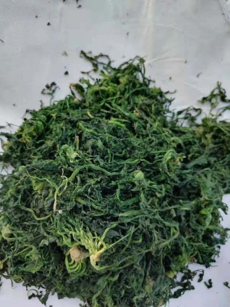 新货脱水荠菜
