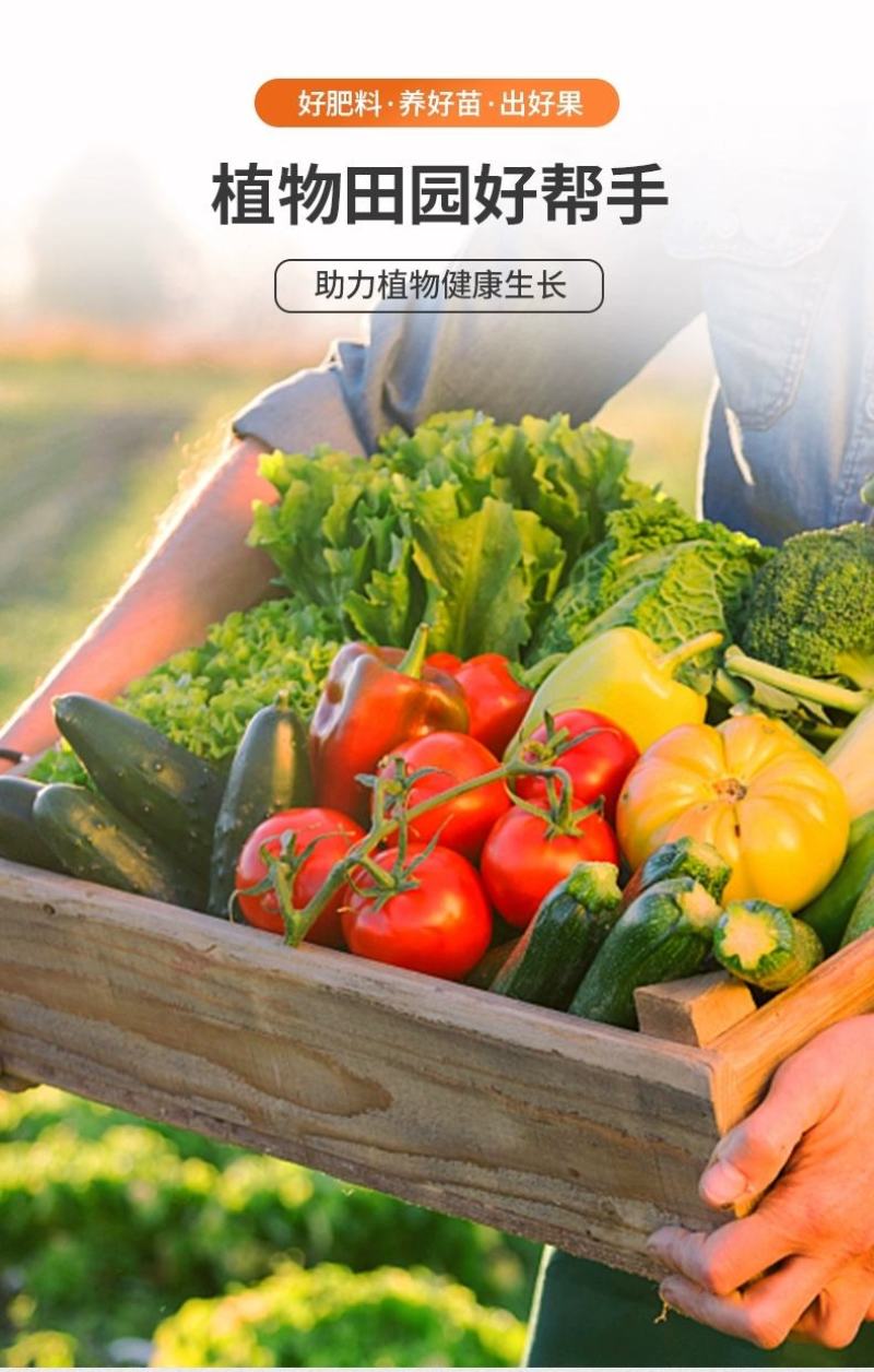 含腐植酸水溶肥肥料促进生长改良土壤营养叶面肥水溶肥料