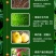 含腐植酸水溶肥肥料促进生长改良土壤营养叶面肥水溶肥料