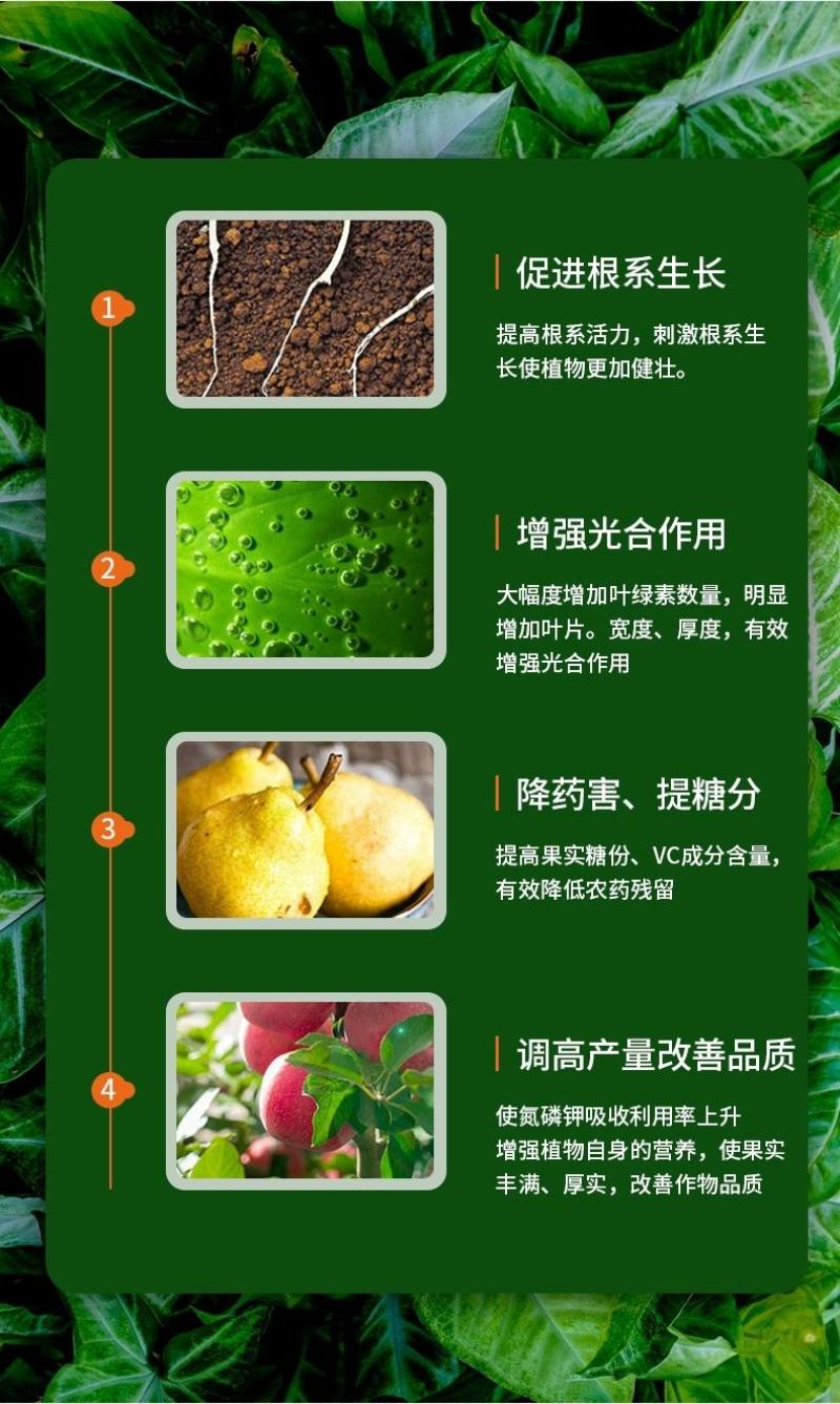 含腐植酸水溶肥肥料促进生长改良土壤营养叶面肥水溶肥料