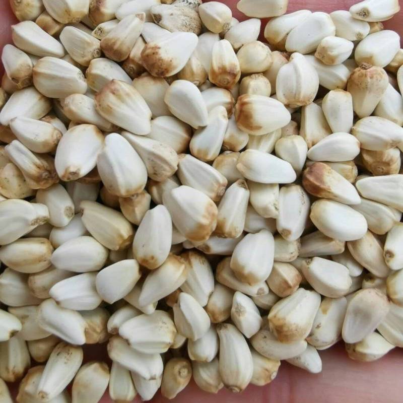 红花无硫自然阴干净货色泽鲜艳产地直批泡脚饮片2吨一手货