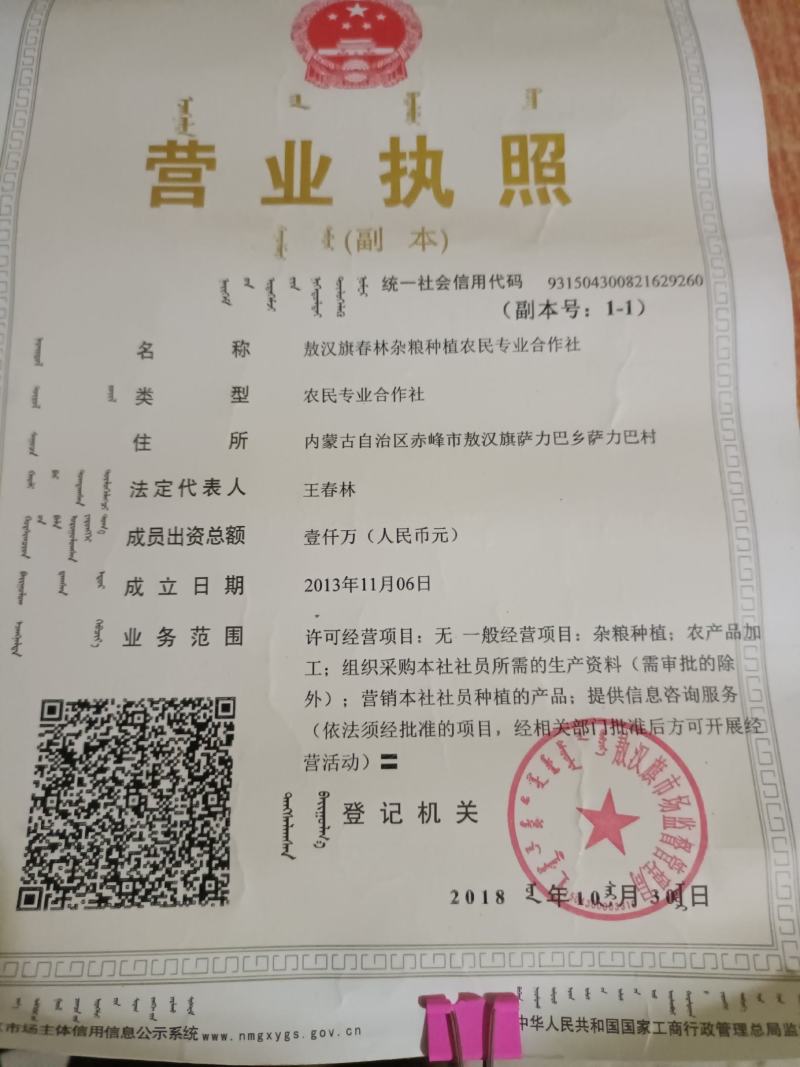 荞麦面粉荞面荞麦粉敖汉特产，旱地种植零添加！