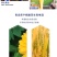 【新品】百年青啤酒全新爆款啤酒价格实惠质量保证