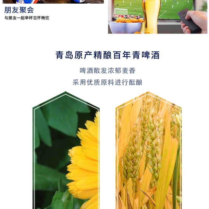 【新品】百年青啤酒全新爆款啤酒价格实惠质量保证