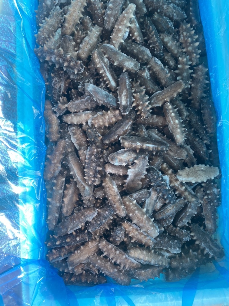 大连即食海参10-40头，自有水发厂一手货源，量大价优