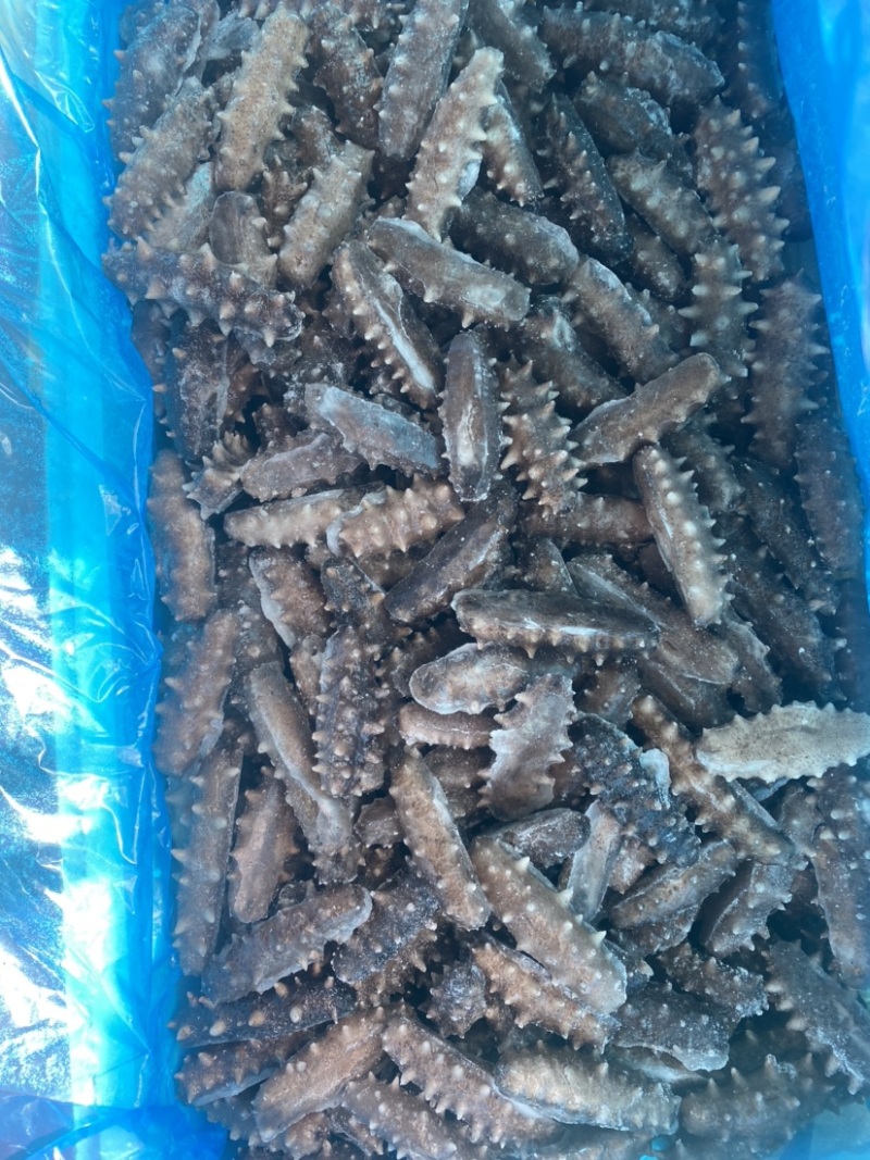 大连即食海参10-40头，自有水发厂一手货源，量大价优
