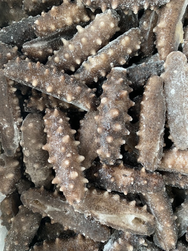 大连即食海参10-40头，自有水发厂一手货源，量大价优