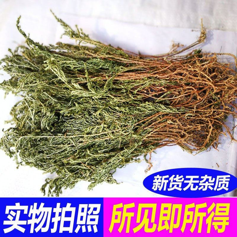 地柏枝，一手货源，野生地柏枝，产地直供道地药材，品质保证