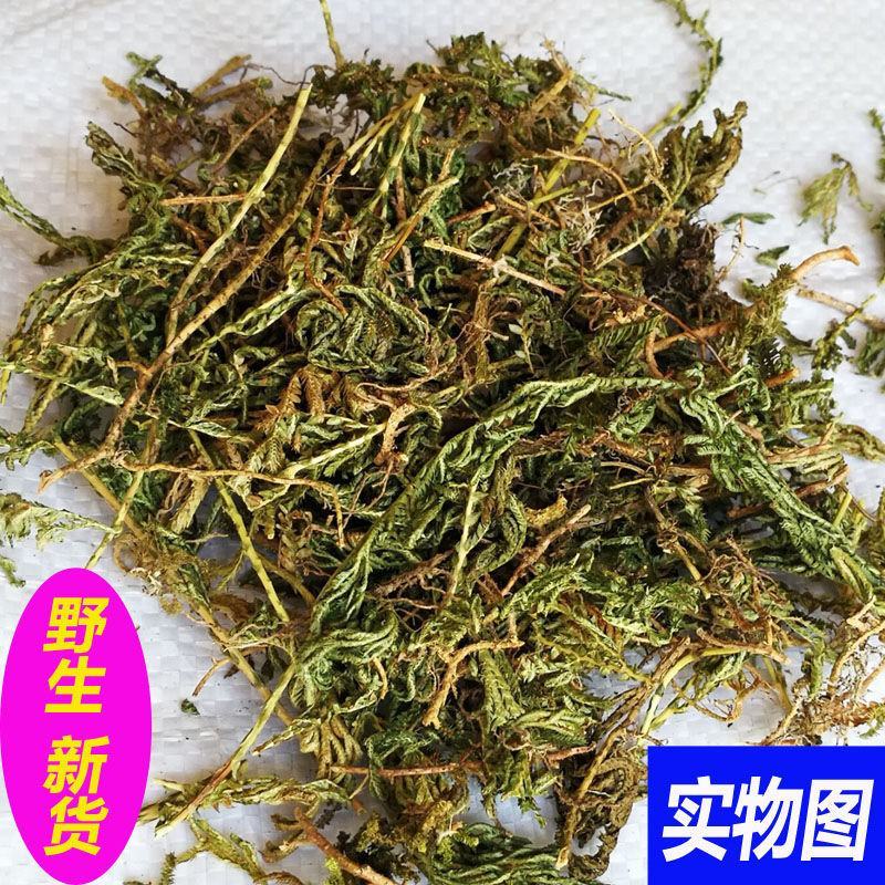 地柏枝，一手货源，野生地柏枝，产地直供道地药材，品质保证
