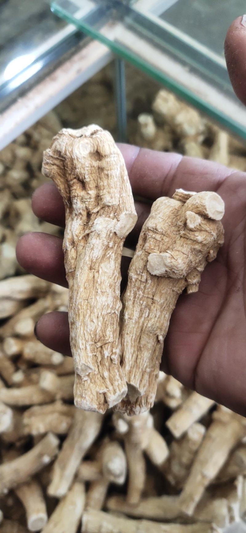 [有好货]西洋参加拿大进口软枝花旗参粒头可切片。产地直供