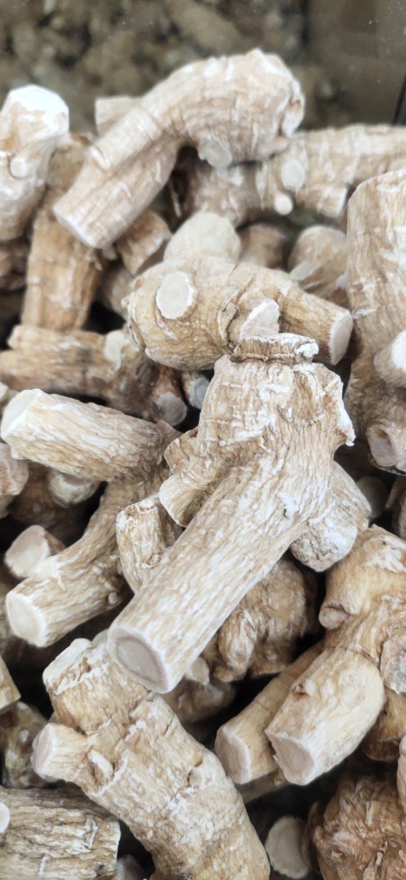 [有好货]西洋参加拿大进口软枝花旗参粒头可切片。产地直供