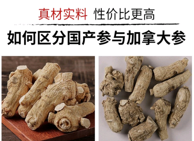 [有好货]西洋参加拿大进口软枝花旗参粒头可切片。产地直供