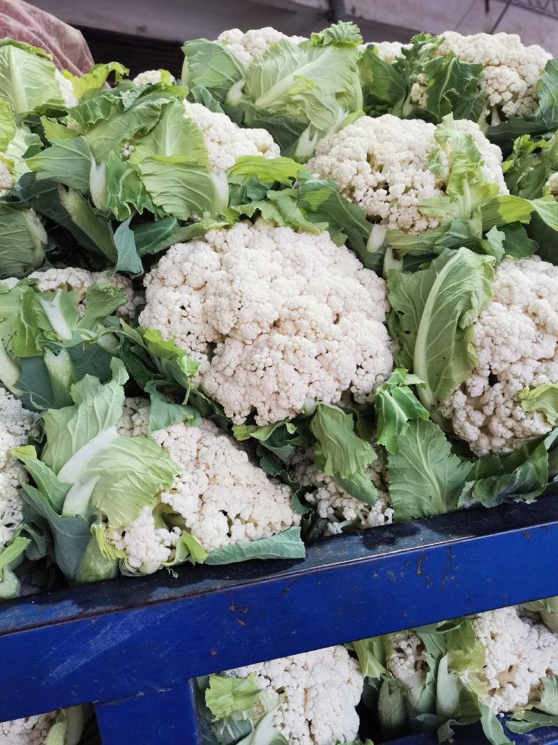 越冬有机花菜大量上市中，质量好价格低有需要的联系。