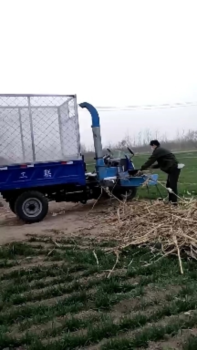 铡草机，三轮铡草揉丝一体机，改装铡草车，时风，五征，联工