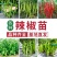 辣椒苗