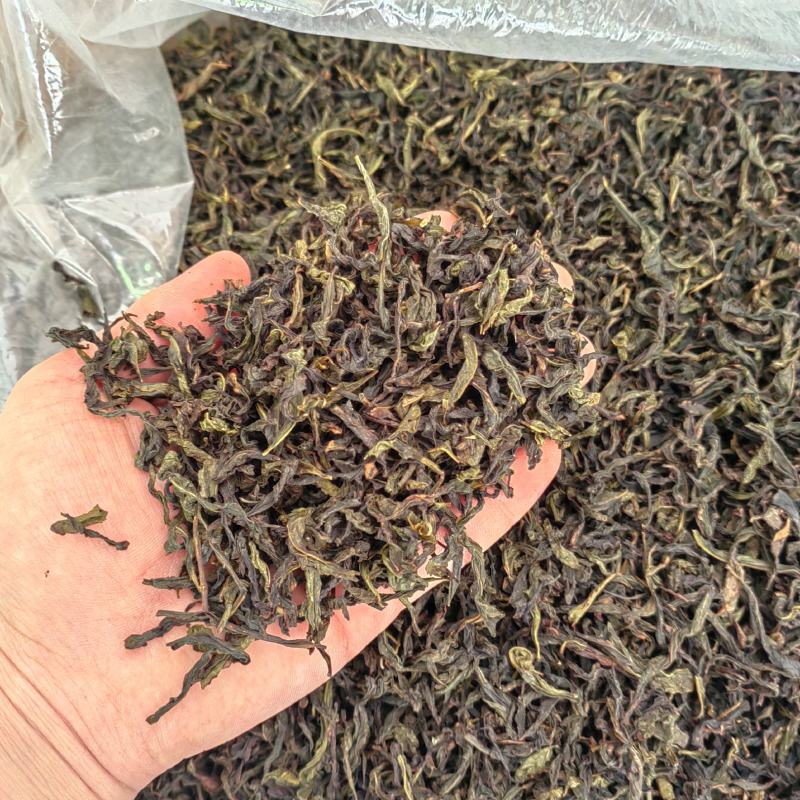 土山茶潮汕高山茶叶浓香型茶叶功夫潮汕大坪茗茶土山茶醇香黄