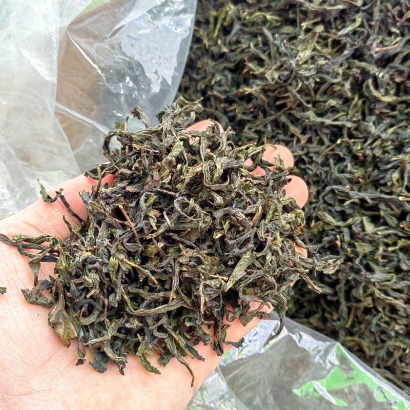 土山茶潮汕高山茶叶浓香型茶叶功夫潮汕大坪茗茶土山茶醇香黄