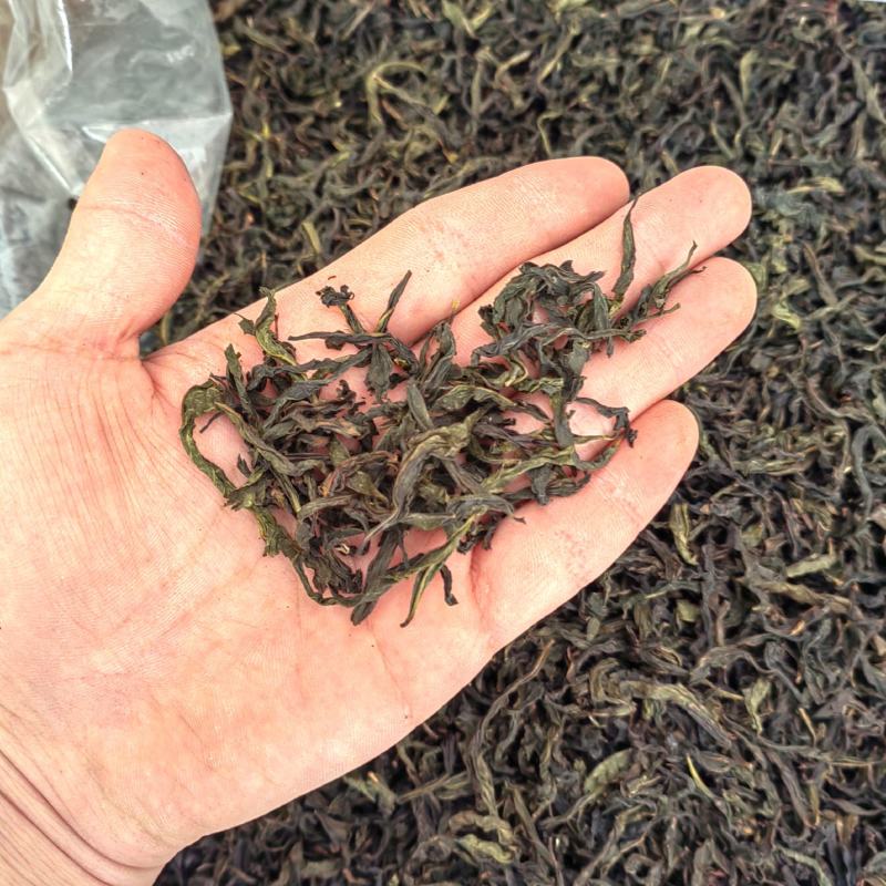 土山茶潮汕高山茶叶浓香型茶叶功夫潮汕大坪茗茶土山茶醇香黄