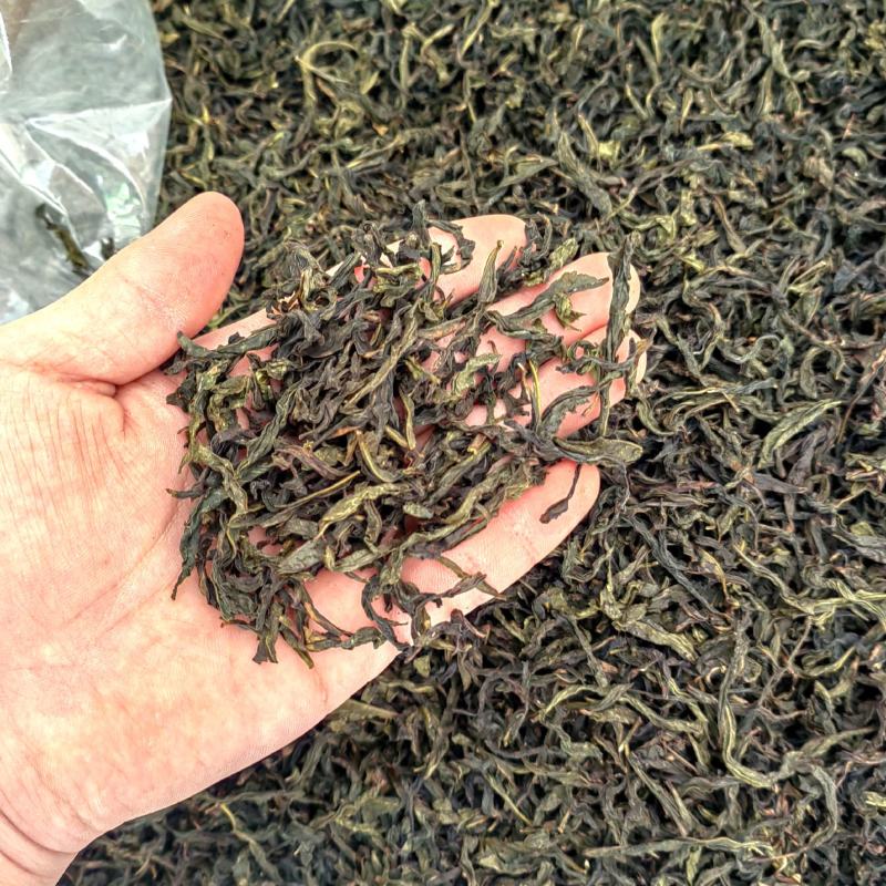 土山茶潮汕高山茶叶浓香型茶叶功夫潮汕大坪茗茶土山茶醇香黄
