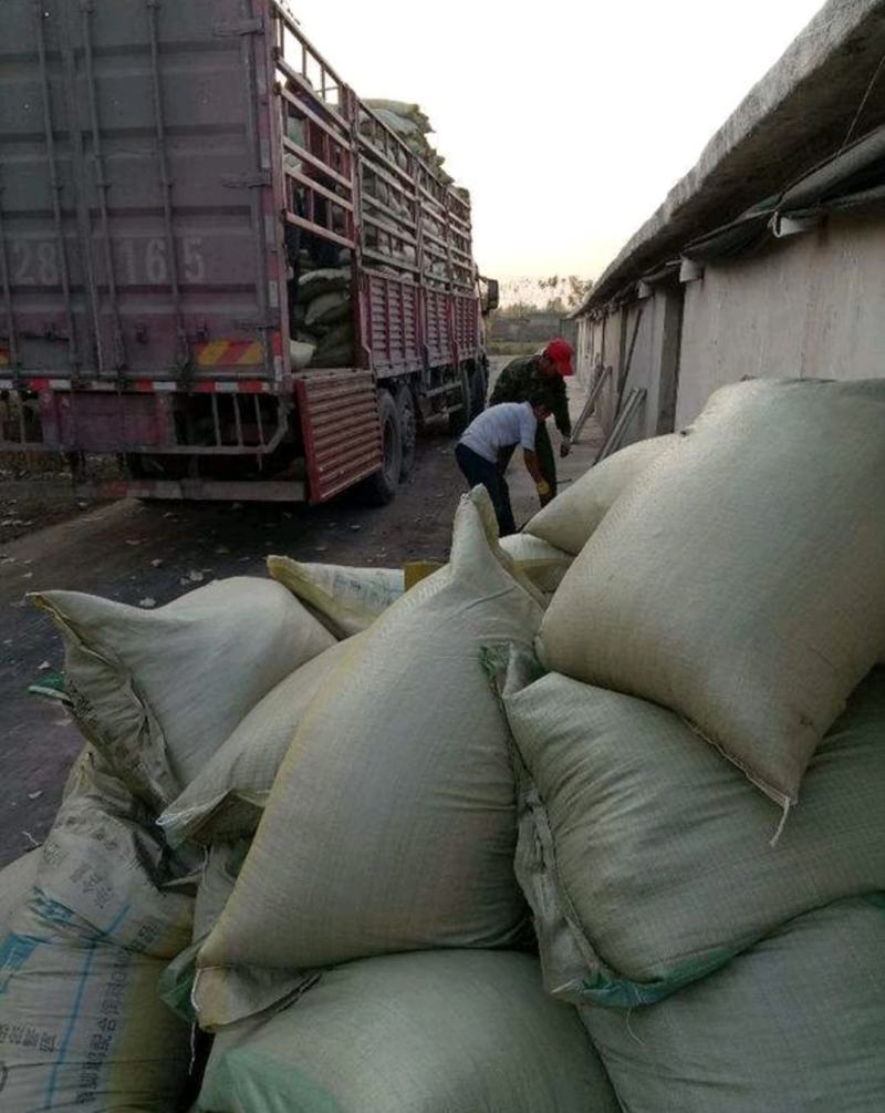 【推荐】大量干兔粪一手货源大量上货品质保证需要联系