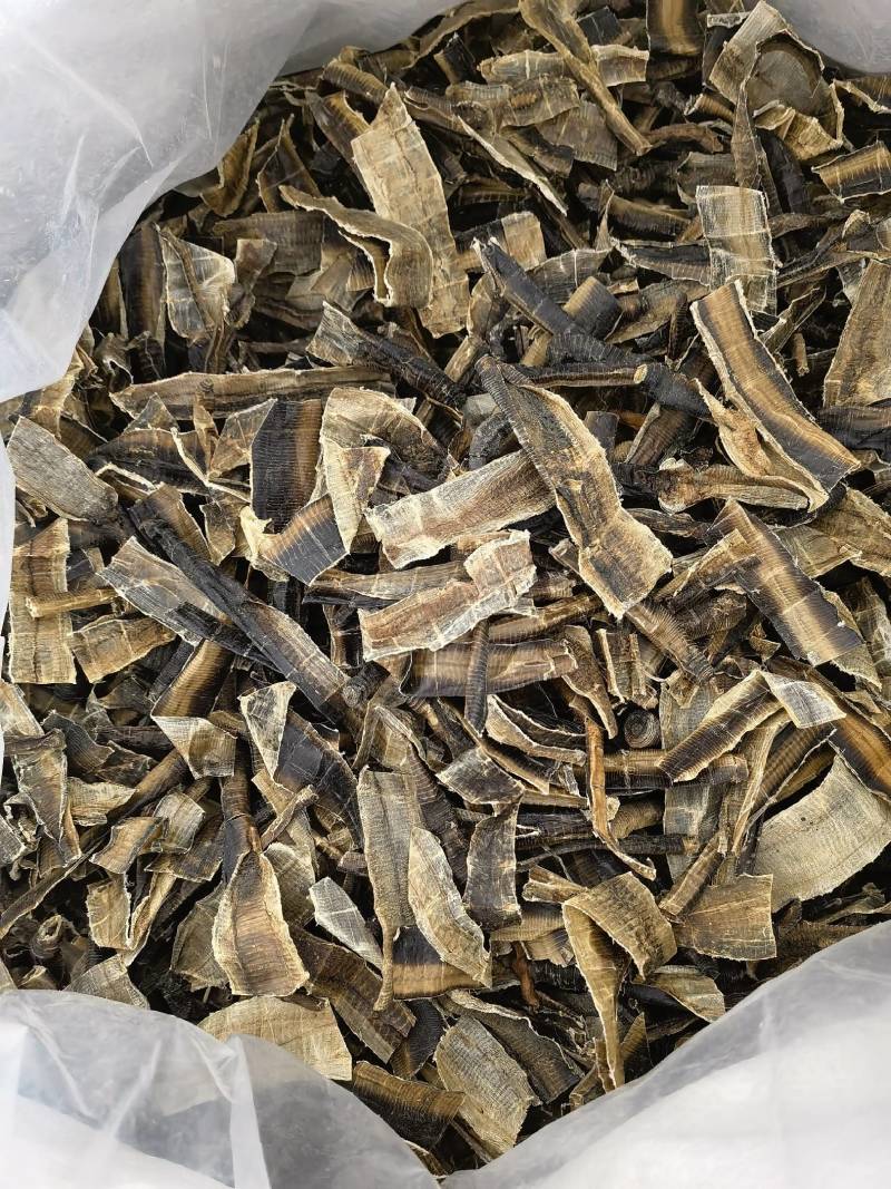 地龙广地龙中开段新货质量好水洗关书药业