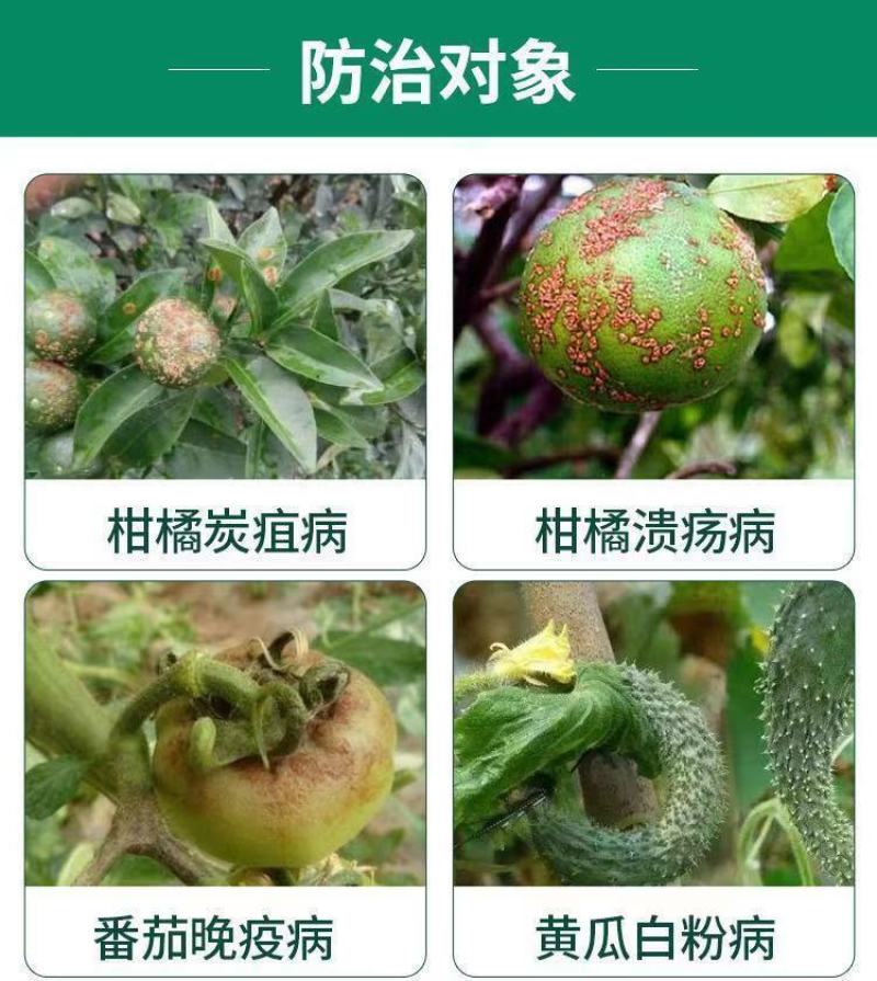 沪联赢彩33.5%喹啉铜溃疡病流胶穿孔细菌性角斑病霜霉病